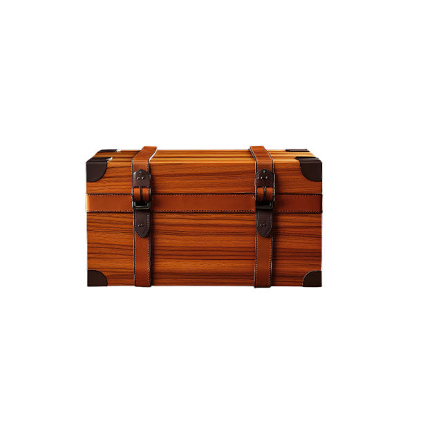 Spacious Trunk for Dorm Storage – DormVault